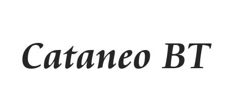 Cataneo Bt Font Family Typeface Free Download Ttf Otf Fontmirror Com