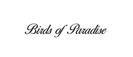 Birds Of Paradise Font Family Typeface Free Download Ttf Otf Fontmirror Com