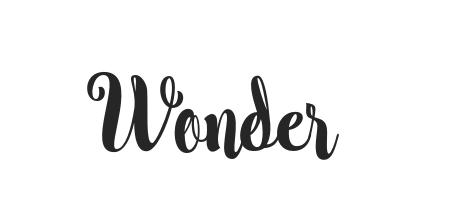 Wonder - Font Family (Typeface) Free Download TTF, OTF
