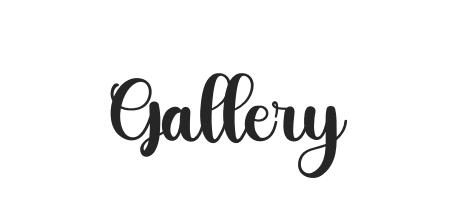 Gallery - Font Family (Typeface) Free Download TTF, OTF - Fontmirror.com